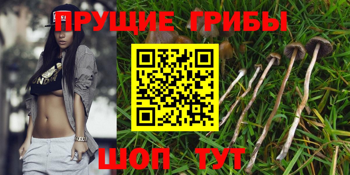 Галлюциногенные грибы мухоморы Пугачёв