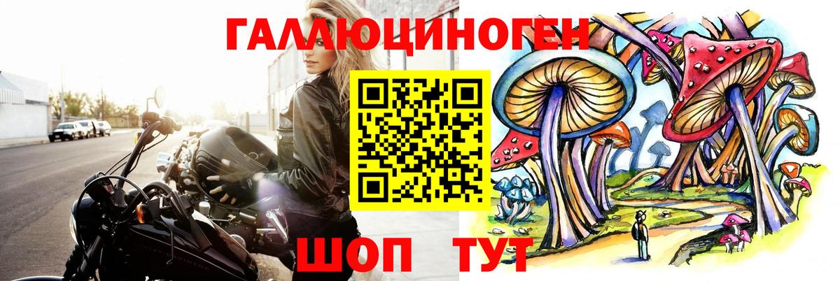 Пугачёв  Псилоцибиновые грибы MAGIC MUSHROOMS  Вход с VPN 